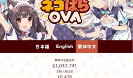 十八禁动漫网站,十八禁动漫网站的隐秘世界