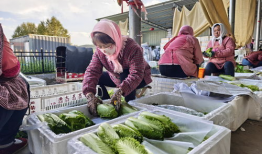 青海浪山今日吃瓜爆料,吃瓜群众揭秘幕后真相