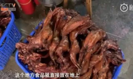 爆料网红黑历史吃瓜鸭,吃瓜鸭带你一探究竟