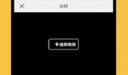 小黄蛙短视频,趣味横生的动物世界