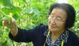 吃瓜爆料配乐是什么歌曲,揭秘热门歌曲背后的故事