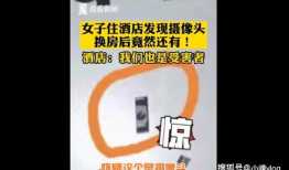 酒店房间短视频,短视频带你一窥奢华与温馨