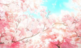 樱花通信动画短视频,揭秘樱花通信动画短视频的魅力