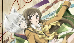 成人动漫magnet,磁力链接背后的故事与奥秘