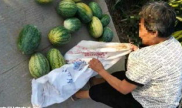 固安吃瓜最新事件爆料