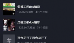 抖音短视频搜索排名,揭秘热门内容快速攀升的秘密