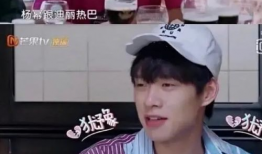 肖战杨紫吃瓜爆料