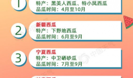 往期内容吃瓜爆料怎么写,往期内容吃瓜爆料大盘点