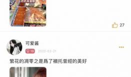 开心短视频下载,开心短视频下载攻略